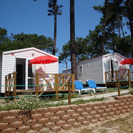 Orbitur Caminha Bungalows - Caravan Park Eksteriør billede