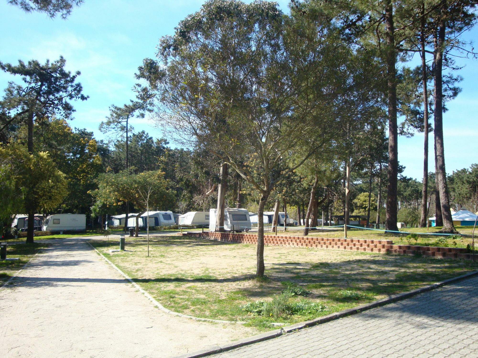 Orbitur Caminha Bungalows - Caravan Park Eksteriør billede