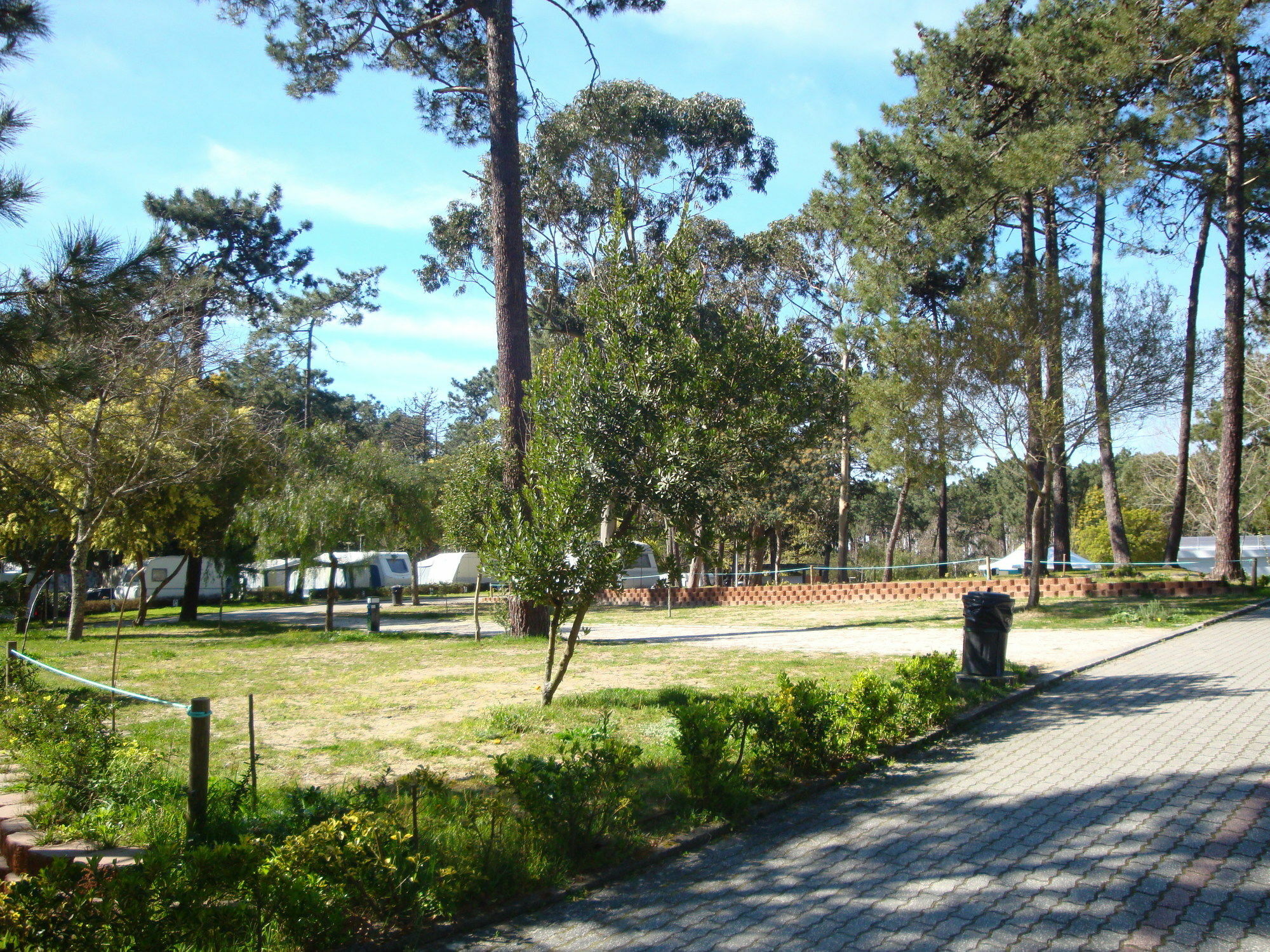 Orbitur Caminha Bungalows - Caravan Park Eksteriør billede